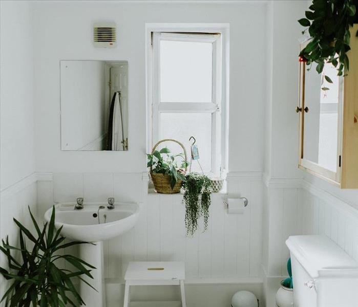 Clean bathroom with white toilet and white pedestal sink, checkered floors and several plants.