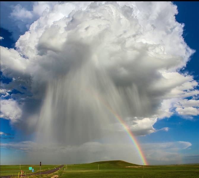 A rainbow and rainshaft during the daytime in a green field.